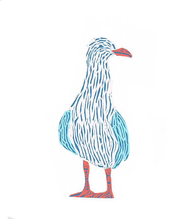 Seagull