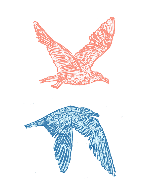 Seagulls